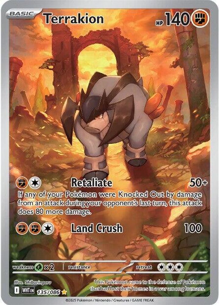 Terrakion 135/086 Illustration Rare White Flare Pokemon Holo NM